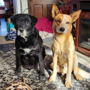 Meet your Posher, Jill